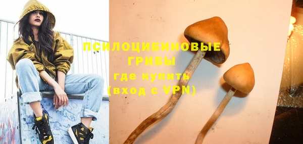 прущие грибы Алексин