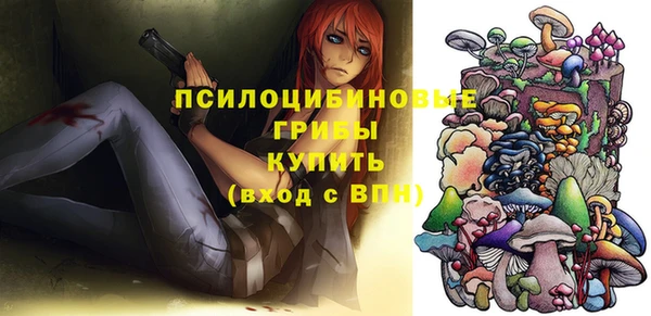 прущие грибы Алексин
